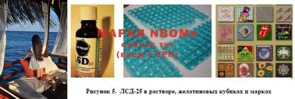 хмурый Арсеньев