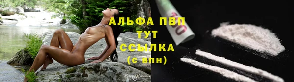 хмурый Арсеньев