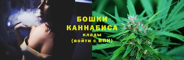 хмурый Арсеньев