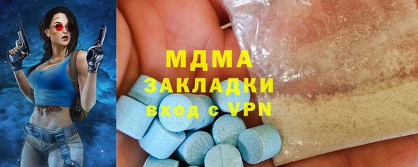 хмурый Арсеньев