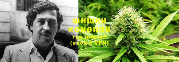 хмурый Арсеньев